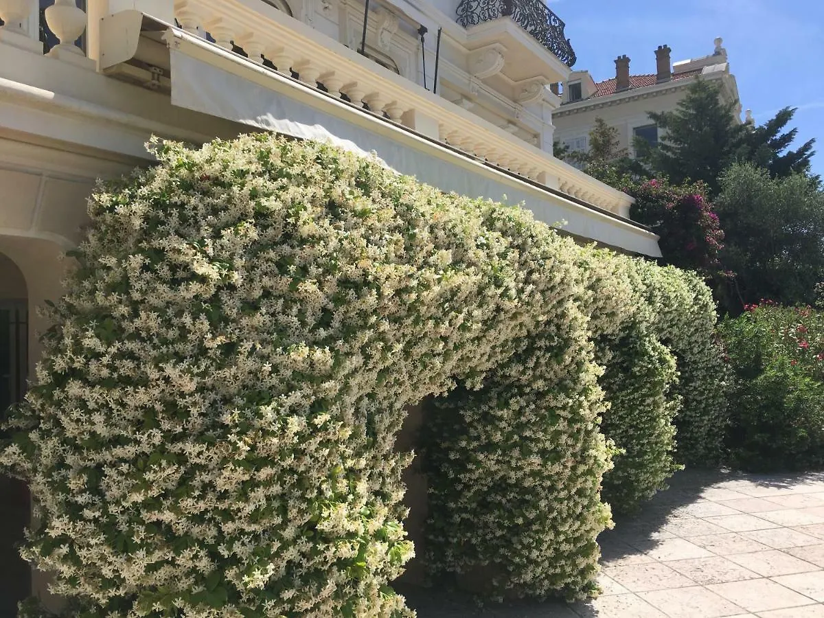 Villa L'Abri Cannes